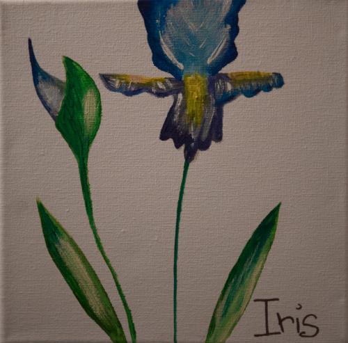 iris1